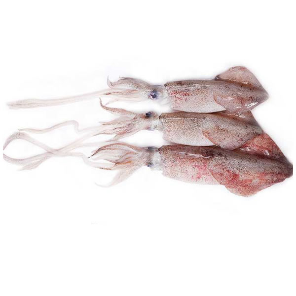 Sole Fish - Ello Fresh Uganda