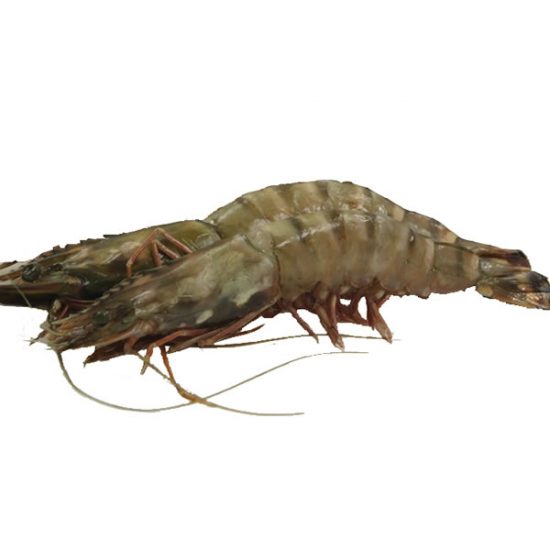 Tiger-prawns.jpg