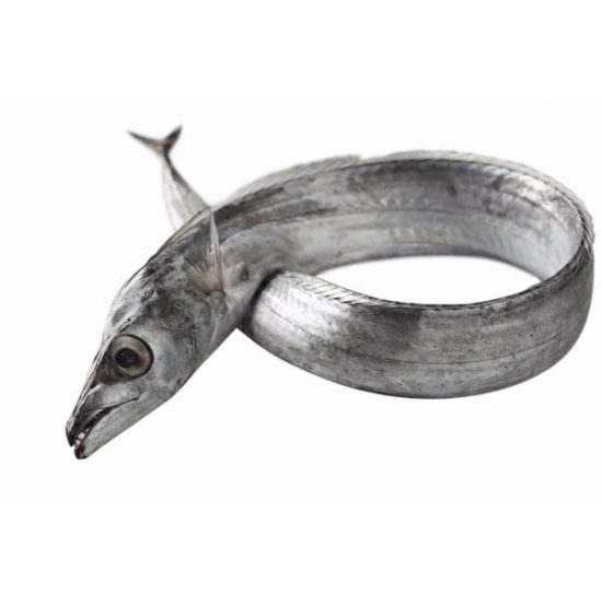 belt-fish1.jpg