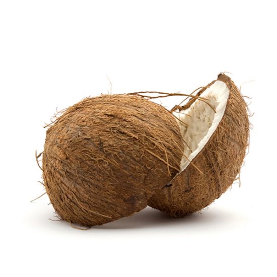 coconut