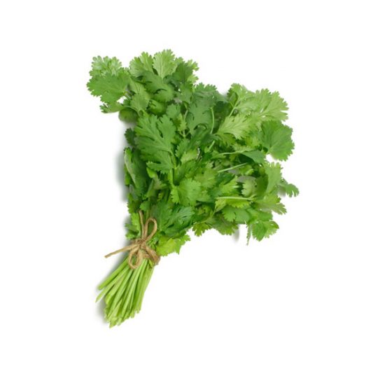 coriander