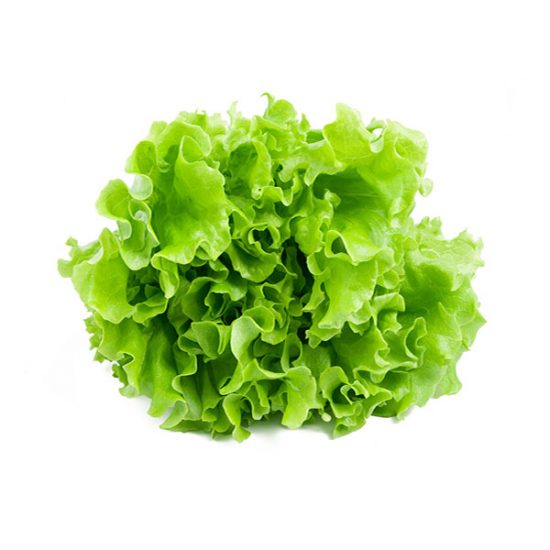 lettuce