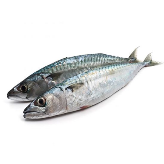 sardine.jpg
