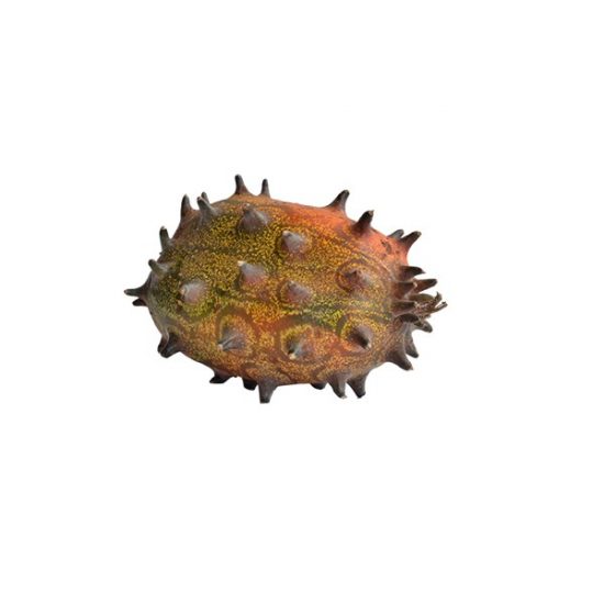 thorn-melon.jpg