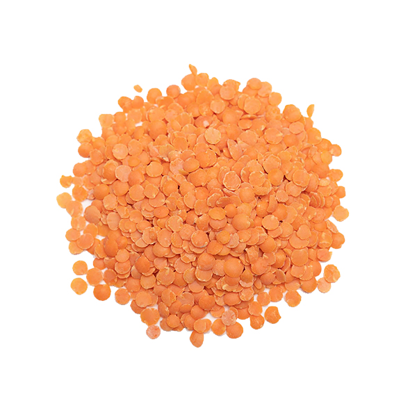 lentil-ello