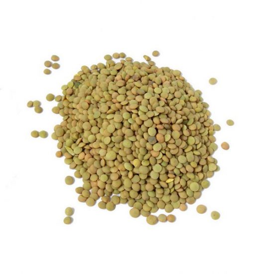 lentil2