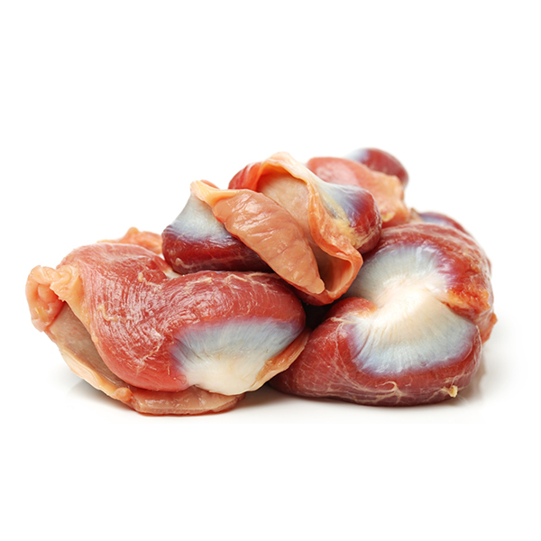 gizzard