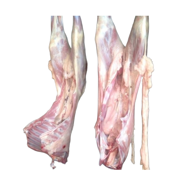 mutton-fresh