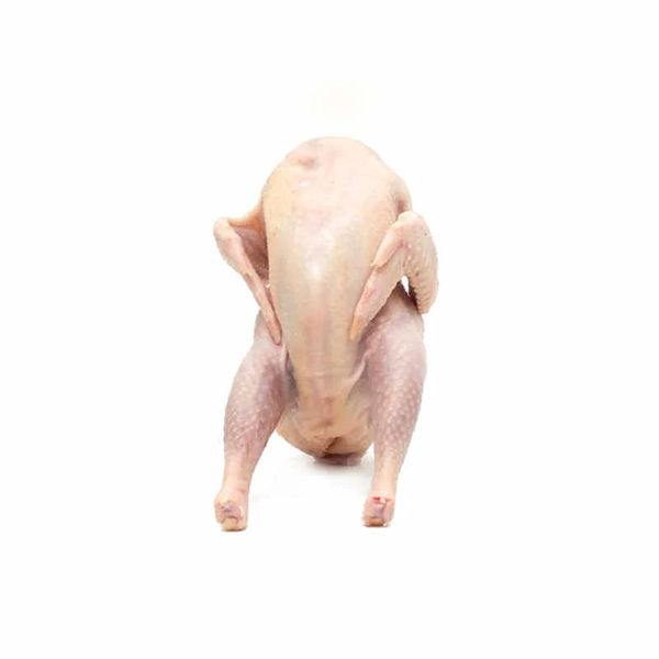 off-layer-chicken