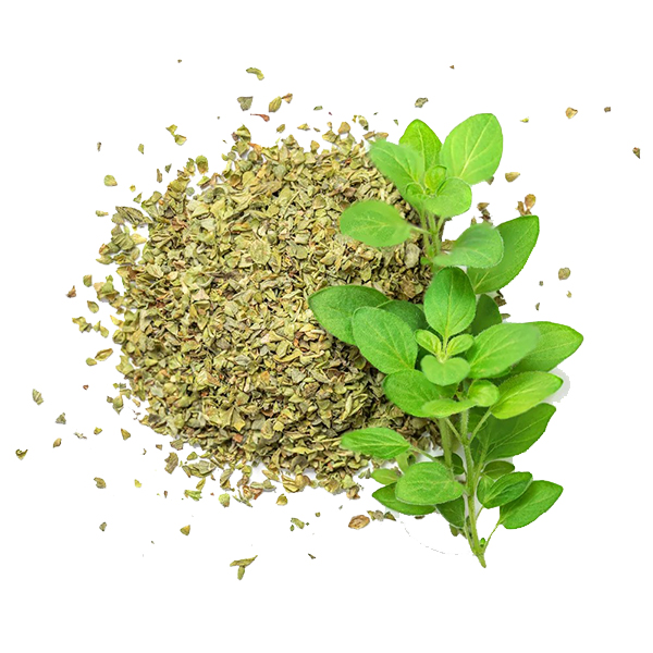 oregano-leaves